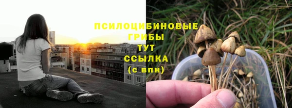 марихуана Новозыбков