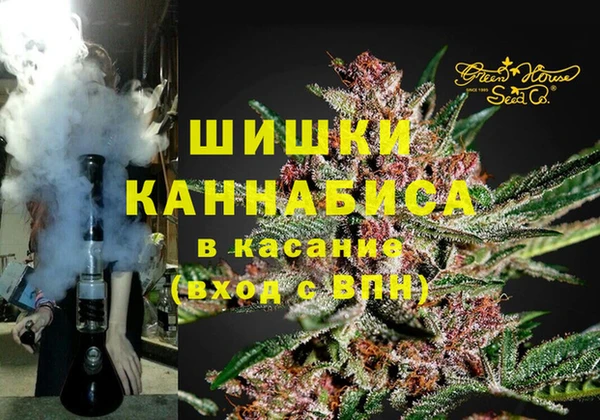 шишки Новодвинск