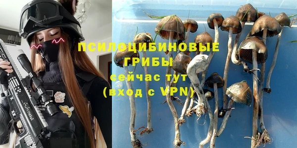 марихуана Новозыбков