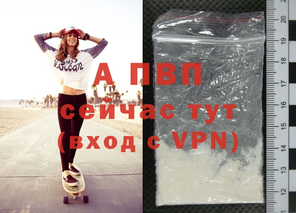 шишки Новодвинск