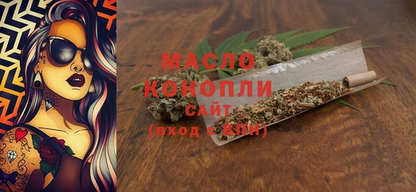 шишки Новодвинск