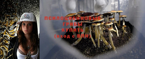ПСИЛОЦИБИНОВЫЕ ГРИБЫ Новокубанск