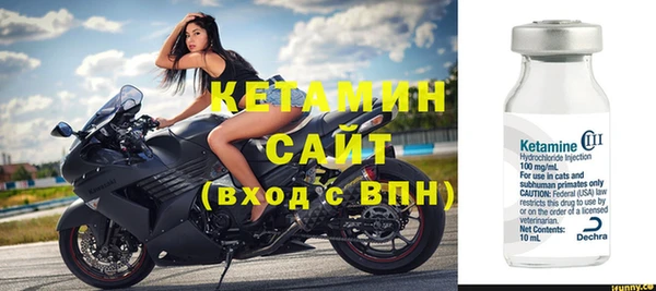 шишки Новодвинск