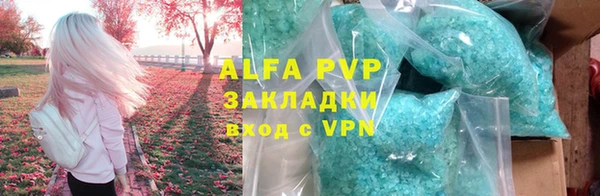 шишки Новодвинск