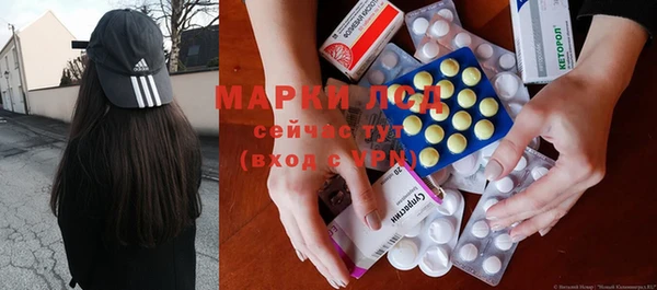 шишки Новодвинск