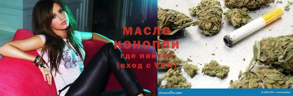 шишки Новодвинск