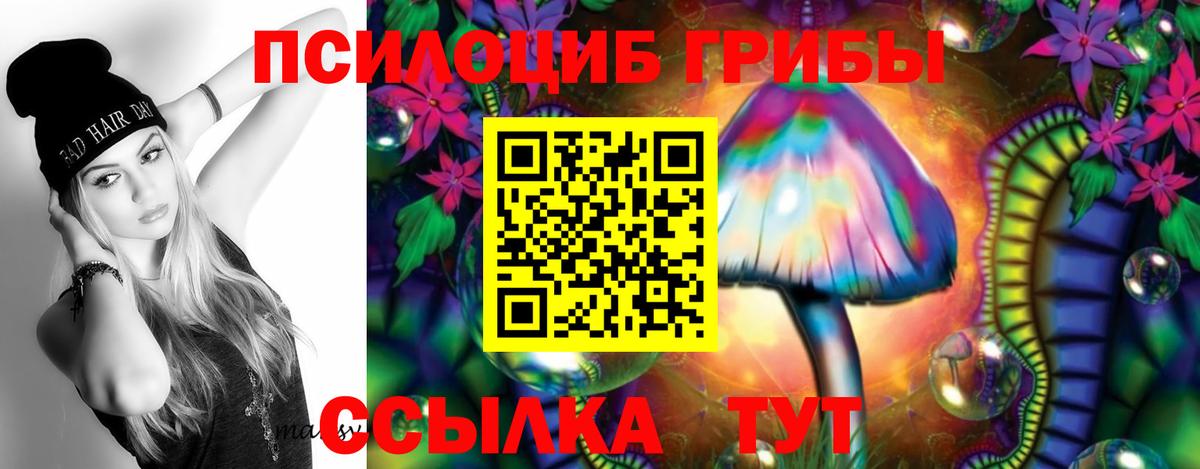 Псилоцибиновые грибы MAGIC MUSHROOMS  Вход с VPN  Краснокаменск 