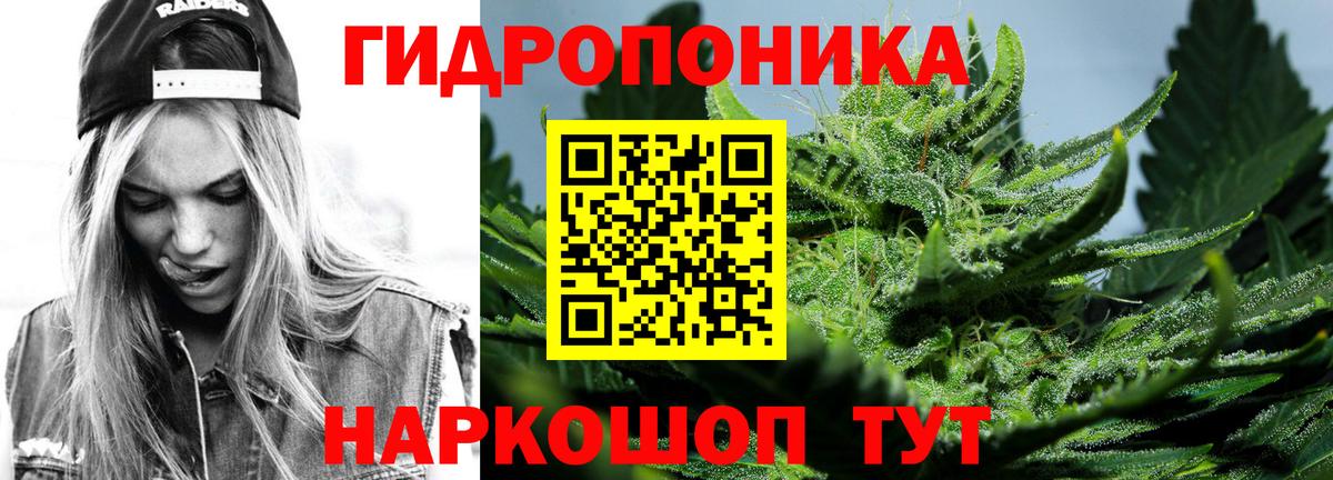 Шишки марихуана планчик Краснокаменск